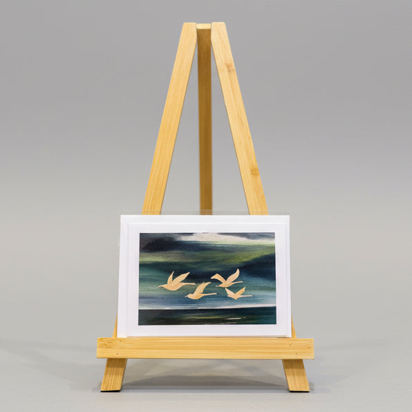 Assorted Cards - Pack of 10